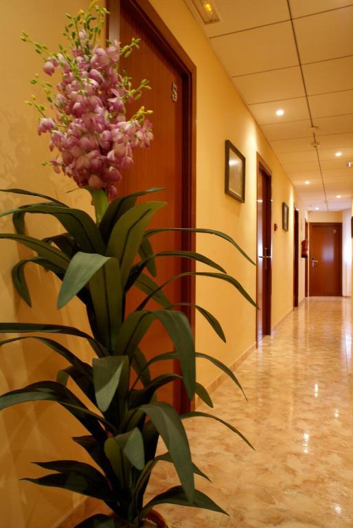 Hotel Mont-Roig Extérieur photo